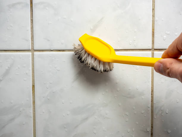 Best Mold Remediation for Specific Building Types in Hideo, UT
