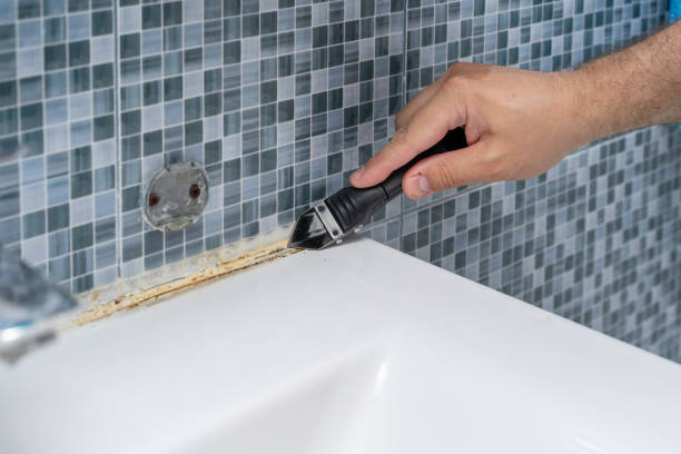 Best White Mold Remediation in Hideo, UT